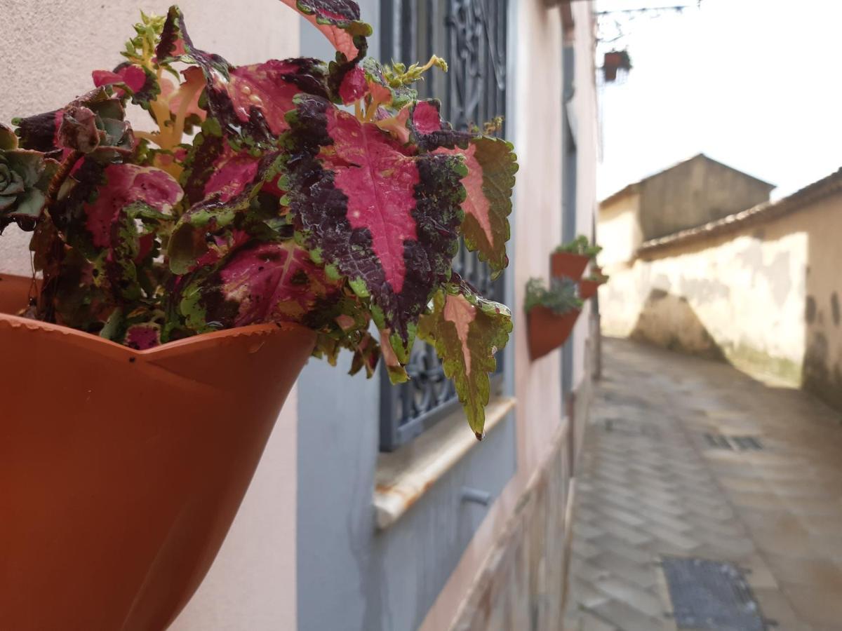 Appartamento Per Turisti Filoxenia Santa Severina Exterior photo